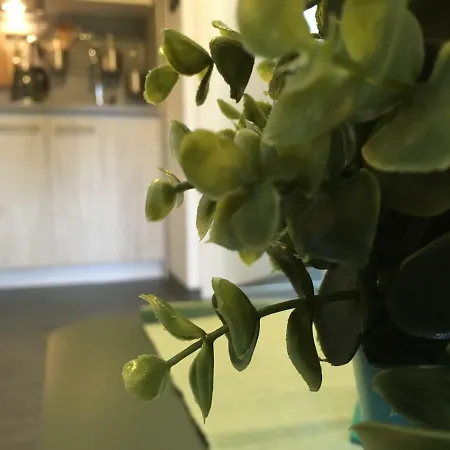 Aldeamento Turístico Mobile - Sueno De La Luna Drage