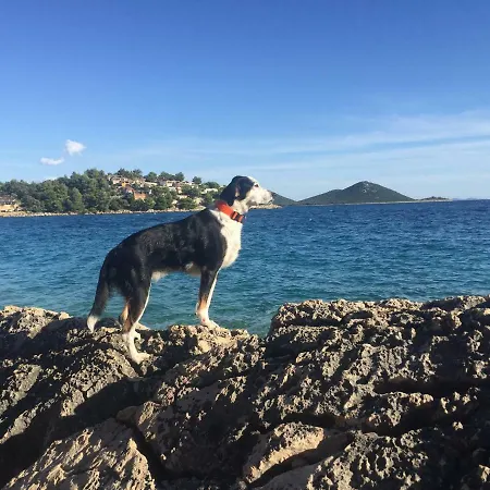 Mobile - Sueno De La Luna Drage