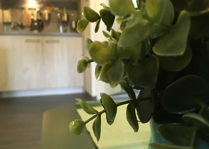 Holiday park Mobile - Sueno De La Luna Drage