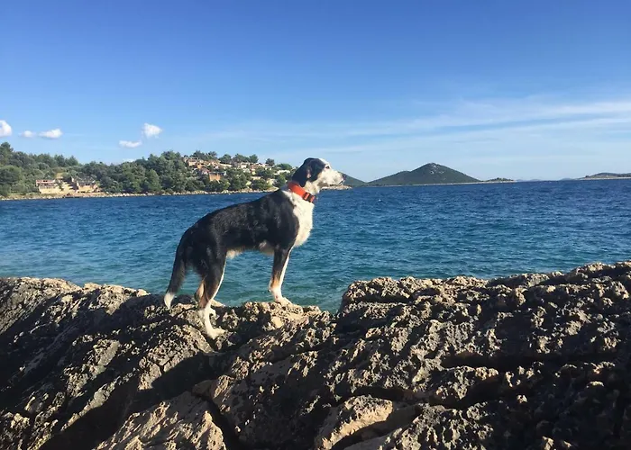 Mobile - Sueno De La Luna Drage